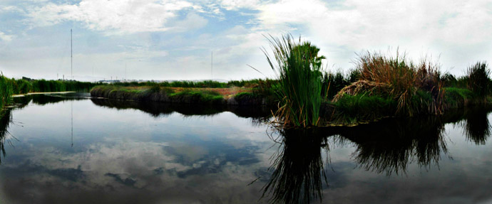 Los Pantanos de Villa